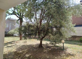 Giardino - Bilocale Viale Lombardia
 
12, Pregnana Milanese - foto 20