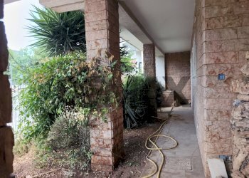 Giardino - Independent house Via Beato
 
128, Bitetto - photo 18