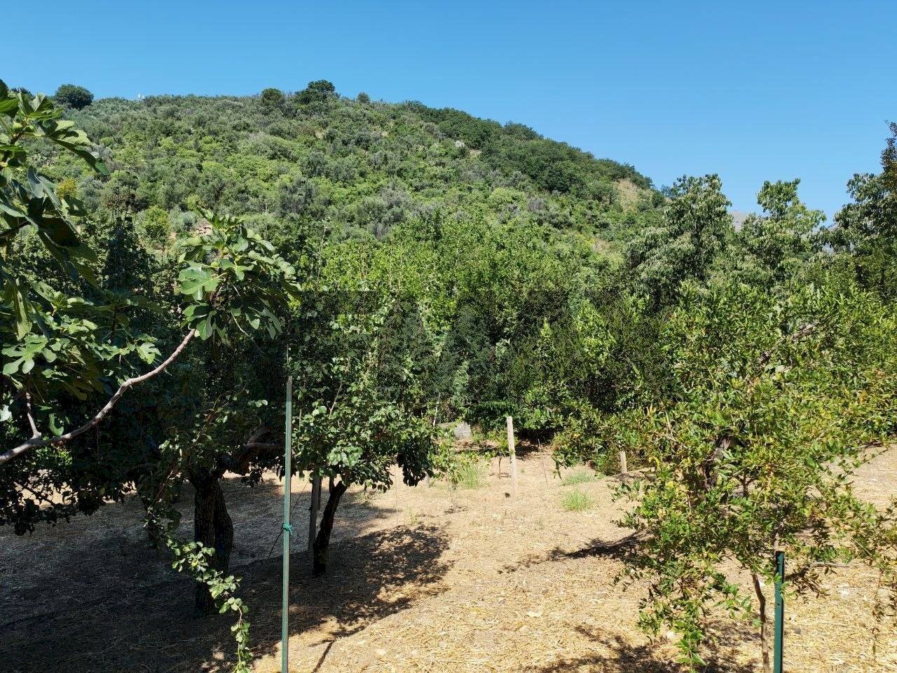 Vista delle montagne - Terreno edificabile contrada timpone
 
6, Altofonte - foto 1