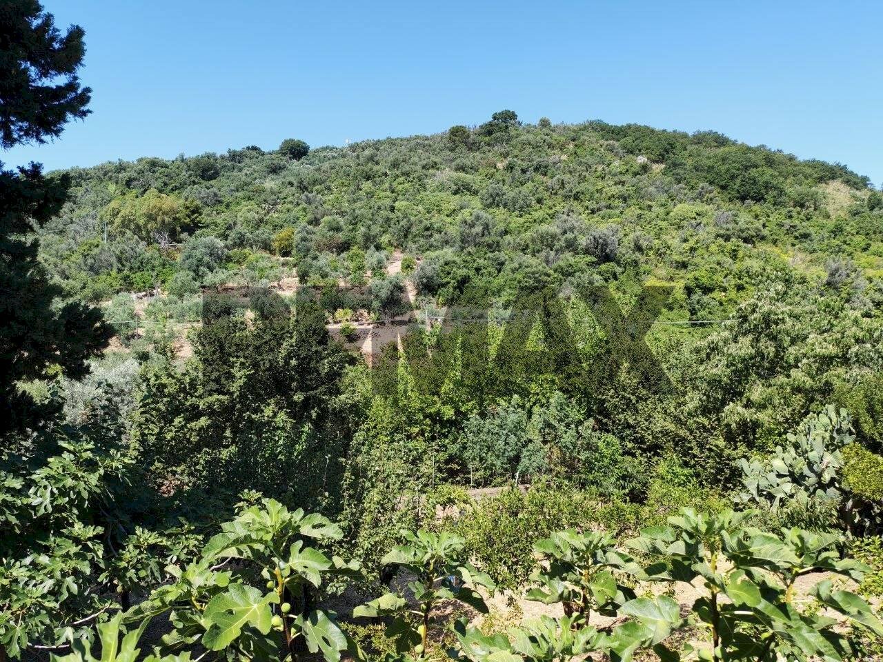 Vista delle montagne - Terreno edificabile contrada timpone
6, Altofonte - foto 3
