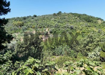Vista delle montagne - Terreno edificabile contrada timpone
6, Altofonte - foto 3