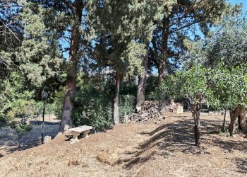 Giardino - Terreno edificabile contrada timpone
6, Altofonte - foto 7