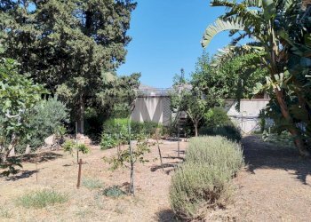 Giardino - Terreno edificabile contrada timpone
6, Altofonte - foto 9