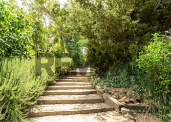 Giardino - Villa Contrada Alta Difesa
 
snc, Perdifumo - photo 13