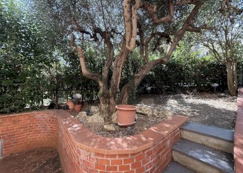 Giardino - Casa indipendente Via Eugenio Curriel
 
15, Castelfiorentino - foto 4