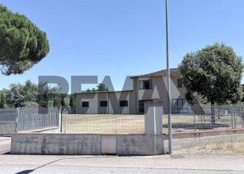 Edificio all\'aperto - Capannone Via Niccoli
378, Castelfiorentino - foto 3
