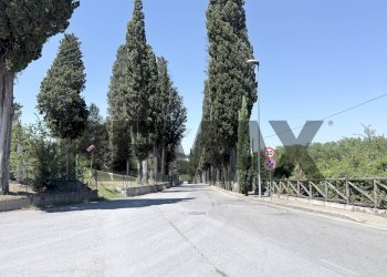 Non correlato - Capannone Via Niccoli
378, Castelfiorentino - foto 4