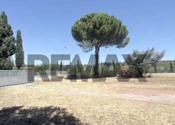 Giardino - Capannone Via Niccoli
378, Castelfiorentino - foto 11