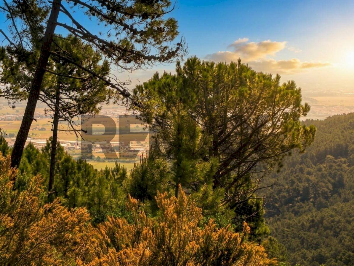 Vista delle montagne - Terreno agricolo Località la Verruca Coli
 
1, Vicopisano - foto 2
