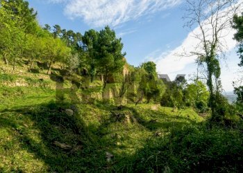 Giardino - Terreno agricolo Località la Verruca Coli
 
1, Vicopisano - foto 5