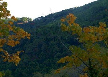 Vista delle montagne - Terreno agricolo Località la Verruca Coli
 
1, Vicopisano - foto 9