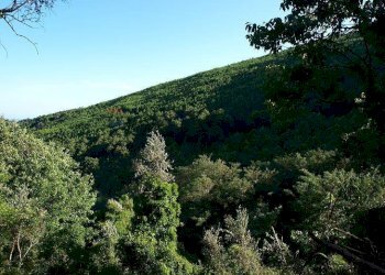 Vista delle montagne - Terreno agricolo Località la Verruca Coli
 
1, Vicopisano - foto 10