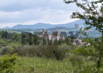 Vista delle montagne - Bilocale FRAZIONE IZZALINI
 
SNC, Todi - foto 4