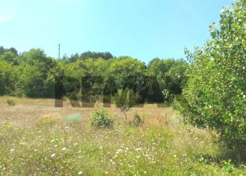 Giardino - Terreno edificabile via pricipe umberto
snc, San Pio delle Camere - foto 2