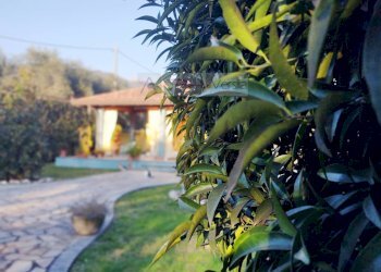 Foto 8 - Villa Seravezza - photo 8