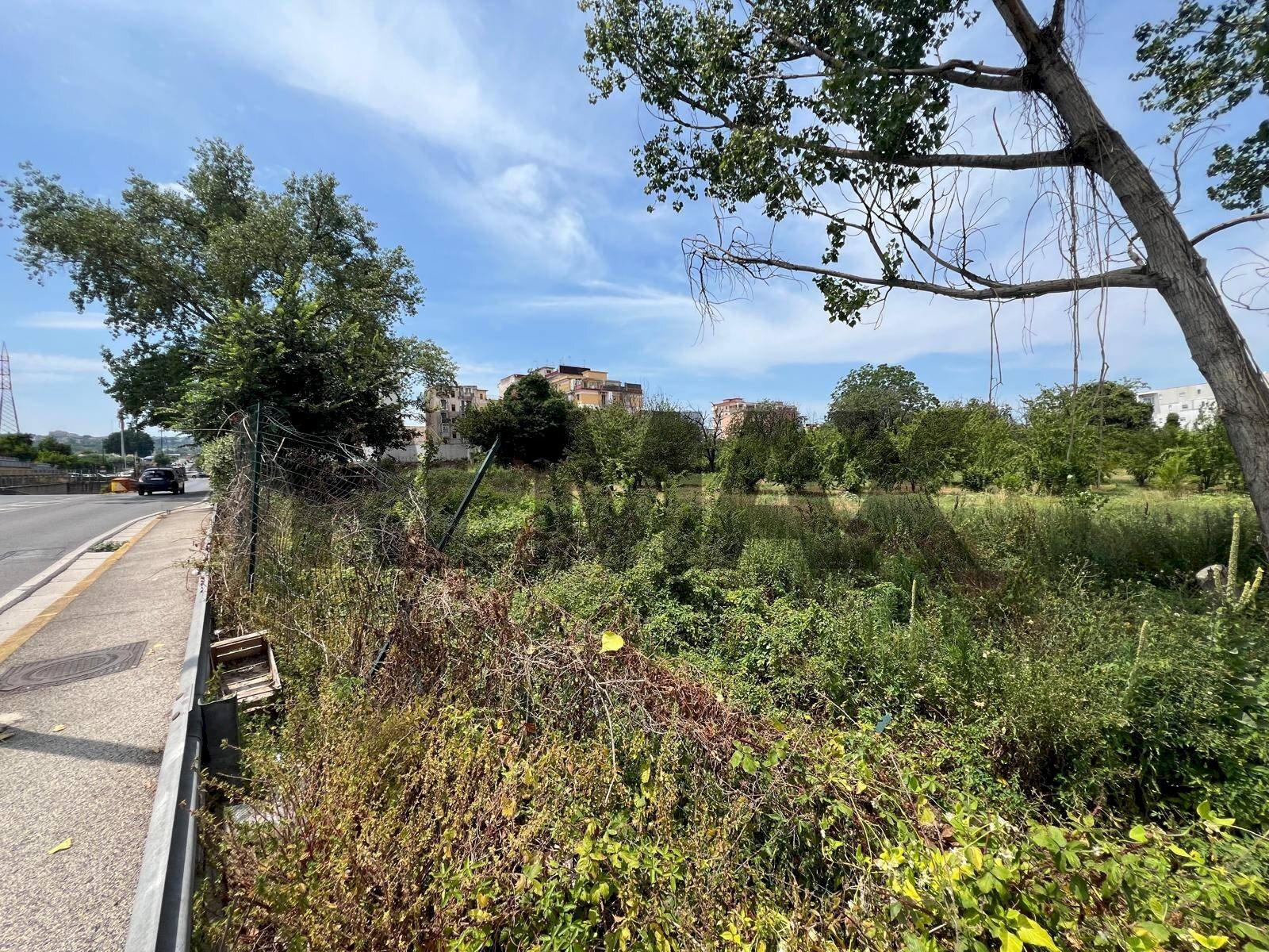 Giardino - Terreno agricolo Via Dei Ciliegi
 
snc, Napoli - foto 1