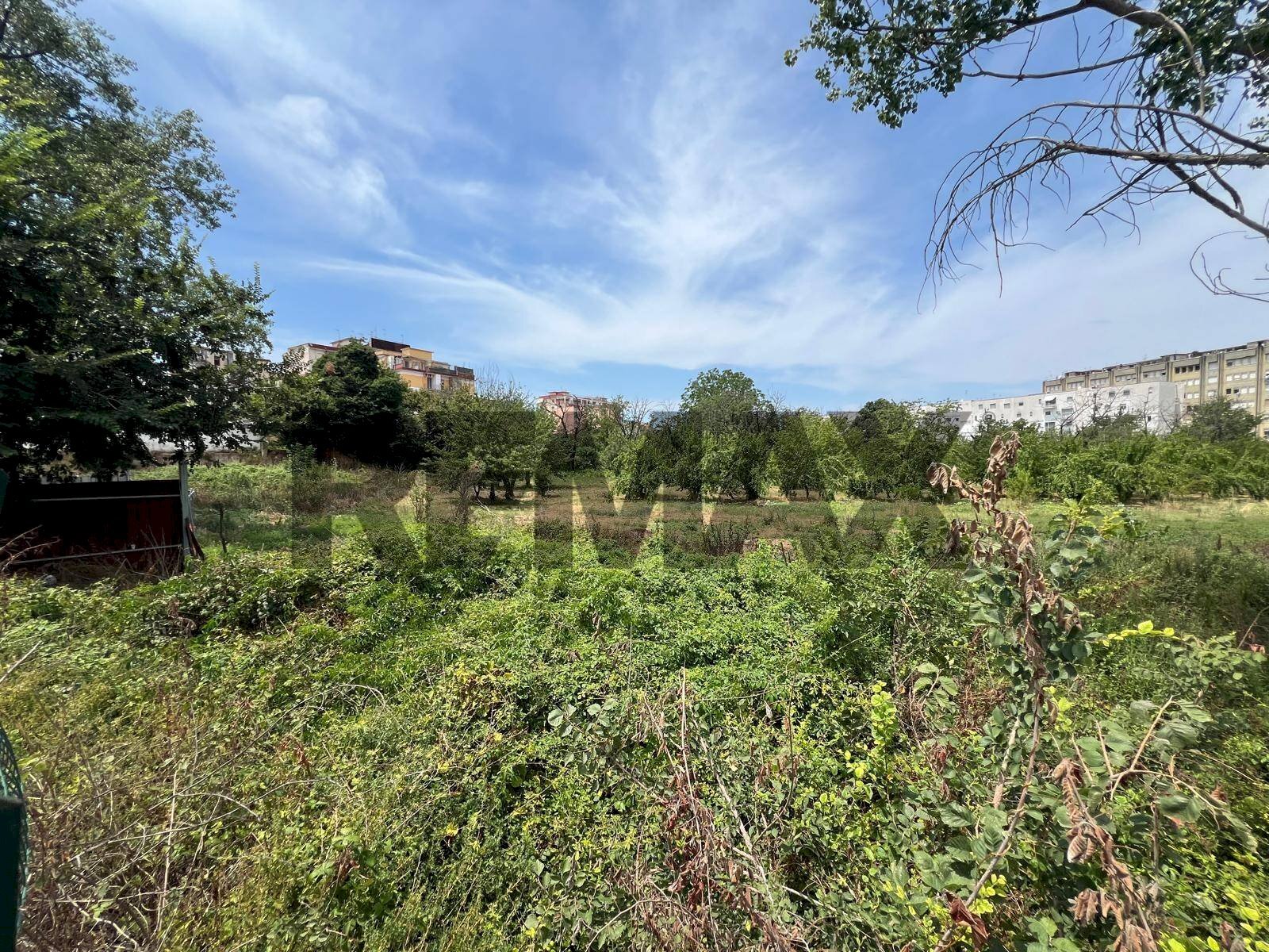 Giardino - Terreno agricolo Via Dei Ciliegi
snc, Napoli - foto 3