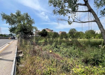 Giardino - Terreno agricolo Via Dei Ciliegi
snc, Napoli - foto 1