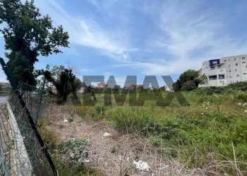 Giardino - Terreno agricolo Via Dei Ciliegi
snc, Napoli - foto 2