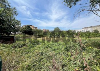 Giardino - Terreno agricolo Via Dei Ciliegi
snc, Napoli - foto 3