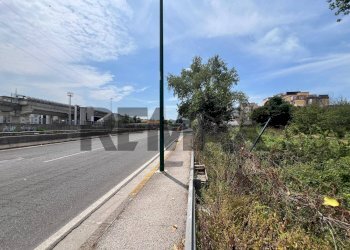 Non correlato - Terreno agricolo Via Dei Ciliegi
snc, Napoli - foto 4