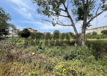 Giardino - Terreno agricolo Via Dei Ciliegi
snc, Napoli - foto 5