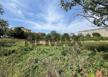 Giardino - Terreno agricolo Via Dei Ciliegi
snc, Napoli - foto 6