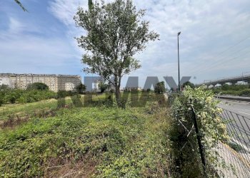 Giardino - Terreno agricolo Via Dei Ciliegi
snc, Napoli - foto 7