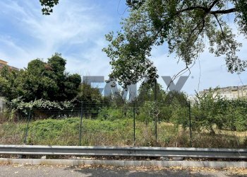 Giardino - Terreno agricolo Via Dei Ciliegi
snc, Napoli - foto 11
