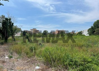 Giardino - Terreno agricolo Via Dei Ciliegi
snc, Napoli - foto 13