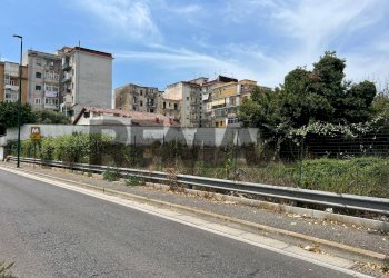 Edificio all\'aperto - Terreno agricolo Via Dei Ciliegi
snc, Napoli - foto 14