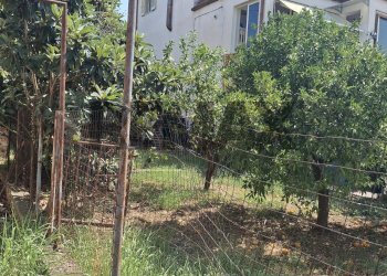 Giardino - Independent house VIA CAMPANILI 2 TRAVERSA
 
9999, Santi Cosma e Damiano - photo 10