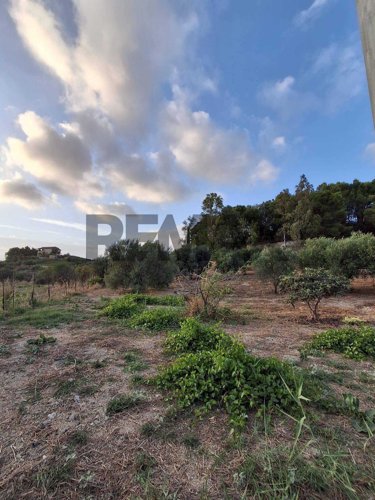 Vista delle montagne - Agricultural land via Chimento
 
30, Favara - photo 1
