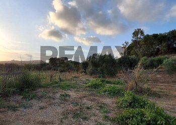 Giardino - Agricultural land via Chimento
30, Favara - photo 2