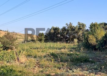 Giardino - Agricultural land via Chimento
30, Favara - photo 7