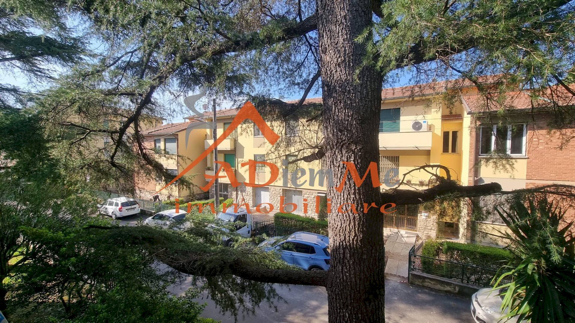 Foto 1 - Appartamento via cannavari, Pisa - foto 1