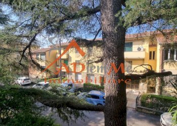 Foto 1 - Appartamento via cannavari, Pisa - foto 1