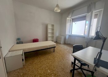 Foto 6 - Terreno non edificabile Via Pietrasantina, Pisa - foto 6