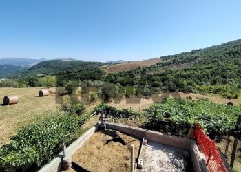Vista delle montagne - Independent house Faito
 
snc, Duronia - photo 33