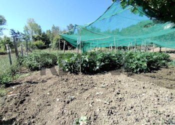 Giardino - Independent house Faito
 
snc, Duronia - photo 38