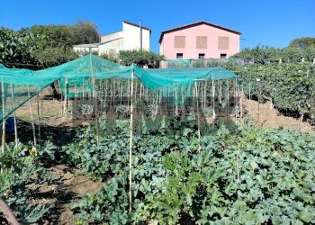 Giardino - Independent house Faito
 
snc, Duronia - photo 40