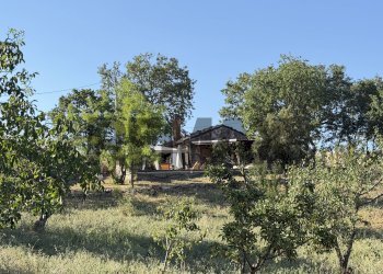 Giardino - Casa indipendente contrada san giovanni
 
snc, Civitacampomarano - foto 6