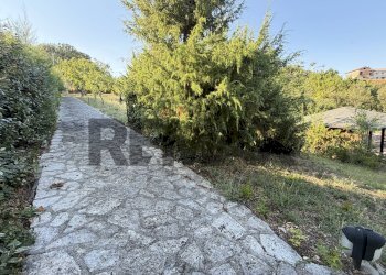 Giardino - Casa indipendente contrada san giovanni
 
snc, Civitacampomarano - foto 69