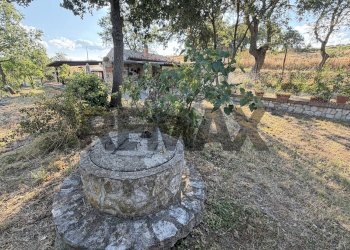 Giardino - Casa indipendente contrada san giovanni
 
snc, Civitacampomarano - foto 74
