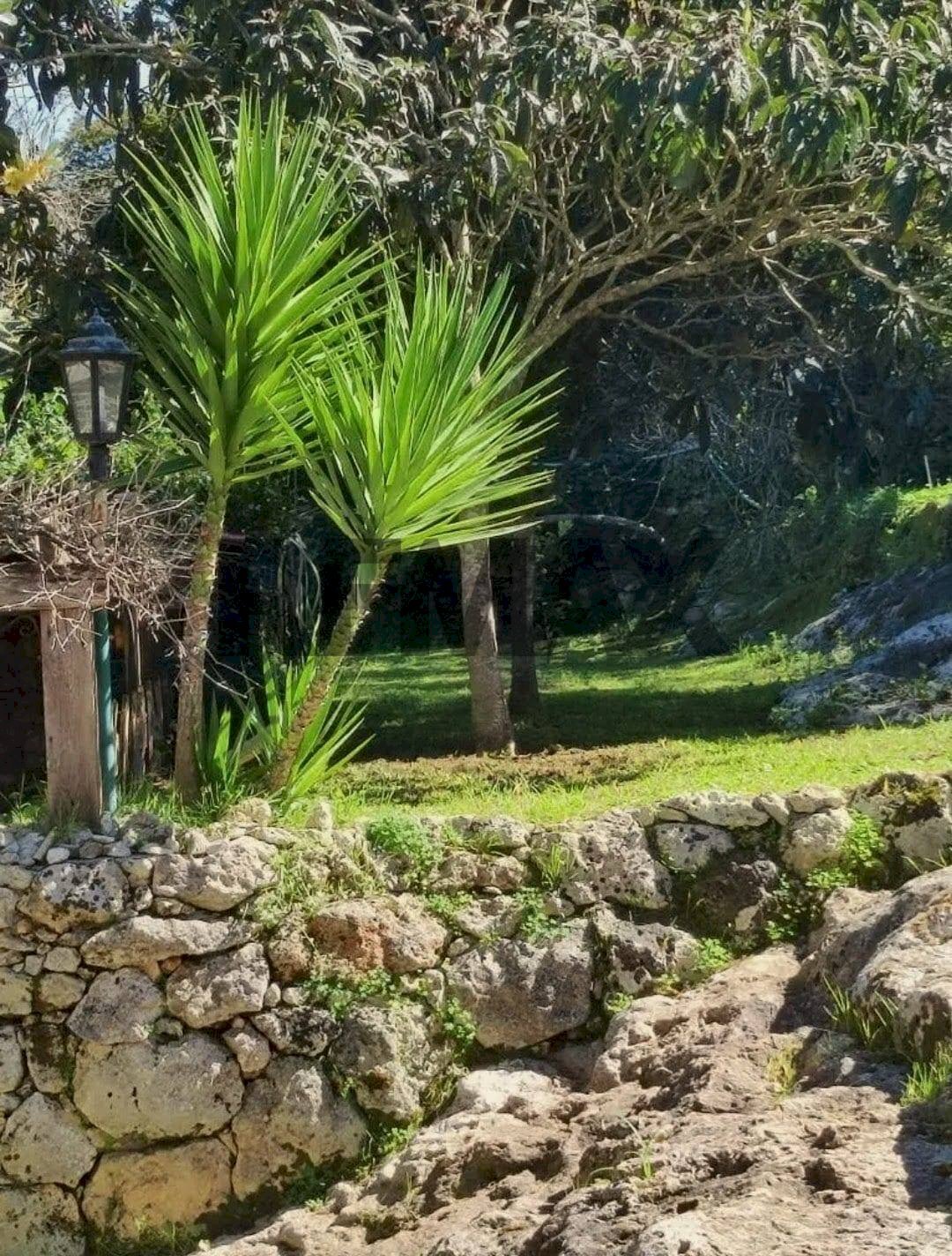 Giardino - Rustic s.v. monti bianchinu
 
29, Sassari - photo 3