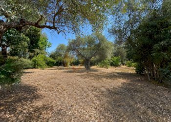 Foto 22 - Villa strada statale 292 nord
 
7, Alghero - photo 22