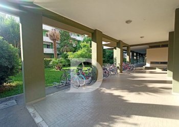 portico condominiale - Trilocale Via Leonardo da Vinci
 
90, Silvi - foto 38