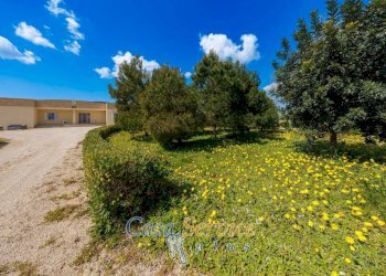 Terreno - Villa Spartifeudo Fuma o di Alezio, Matino - foto 5