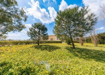 Terreno - Villa Spartifeudo Fuma o di Alezio, Matino - foto 18