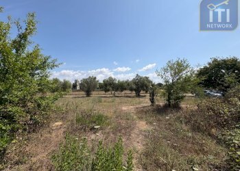 Foto 3 - Rustico Via Vaccareccia, Pomezia - foto 3